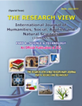 The Research View